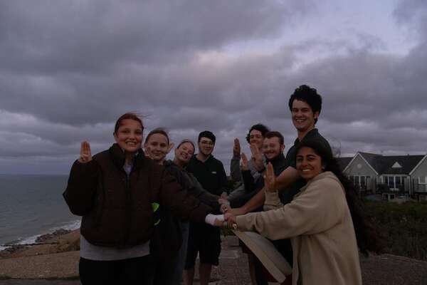 bittern_network_2